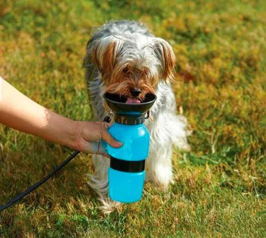 TERMO PARA MASCOTAS PORTA AGUA - EXPRESS 🇨🇱